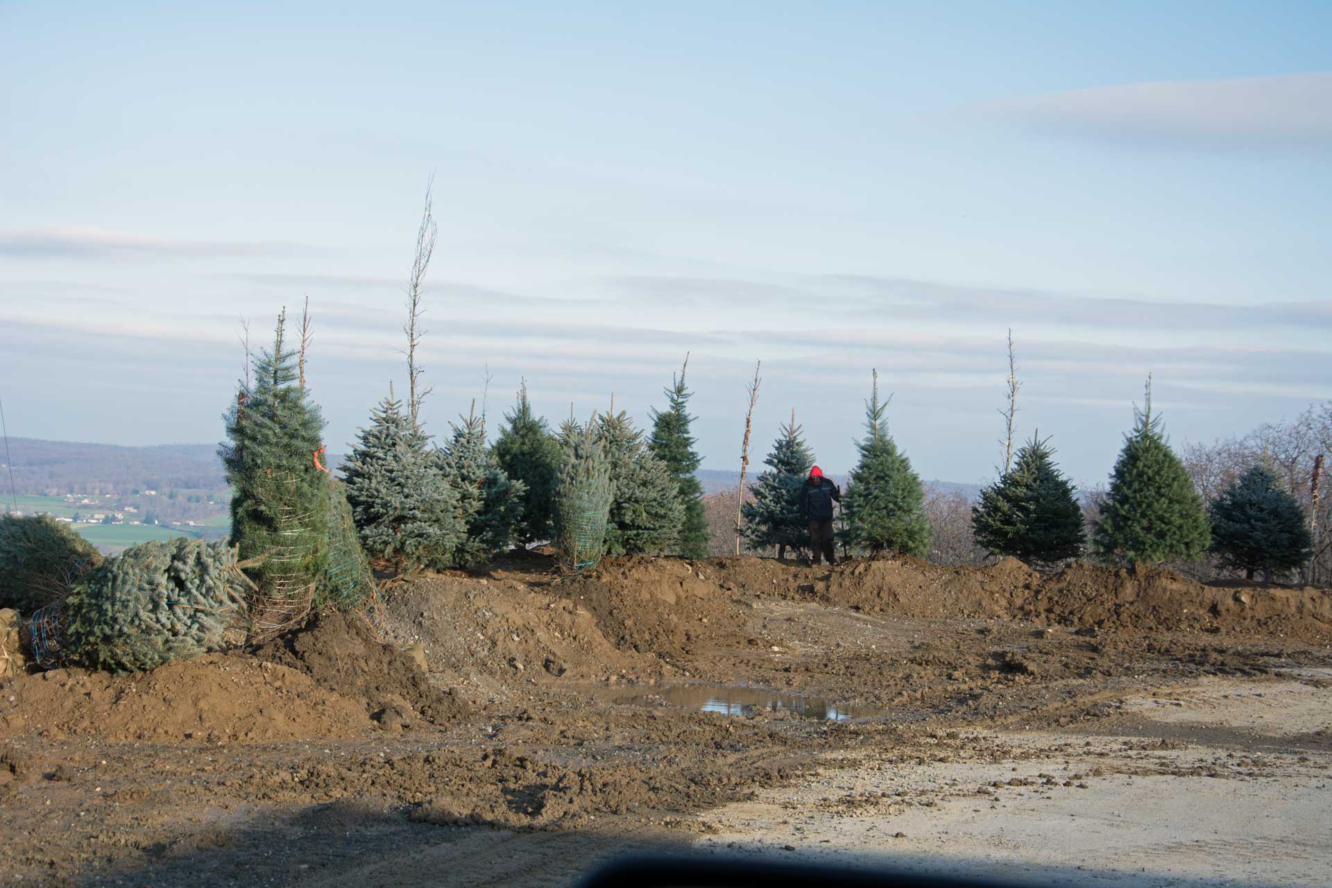 Still work to be done