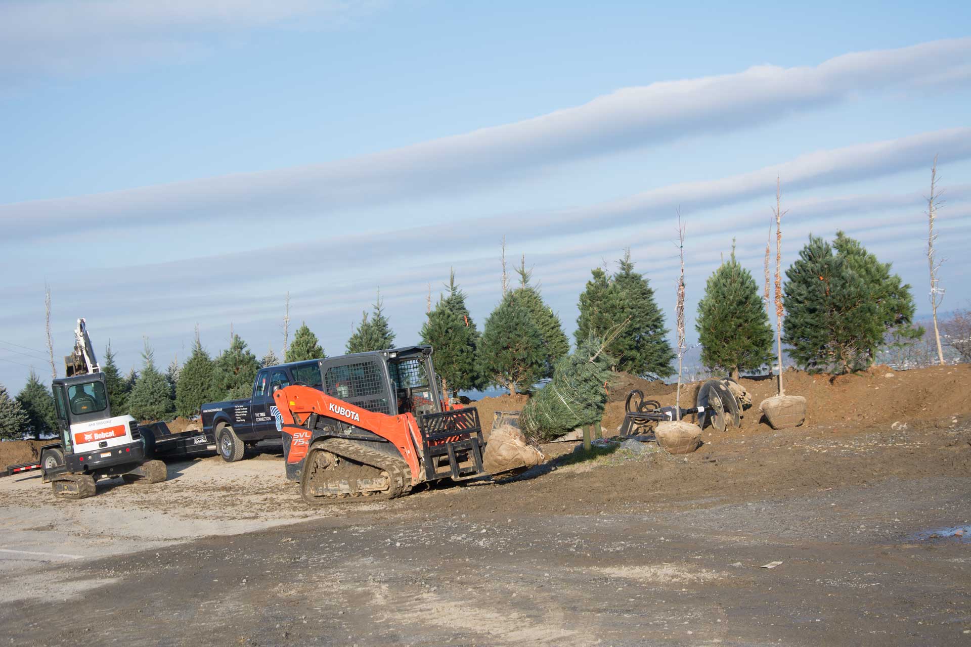 Started Planting Trees at the Maintenance Building