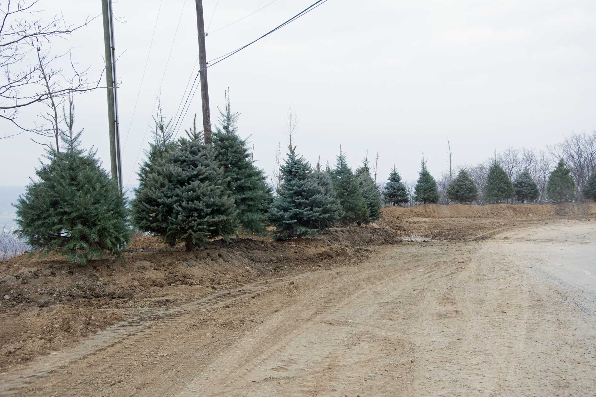 Things are shaping up