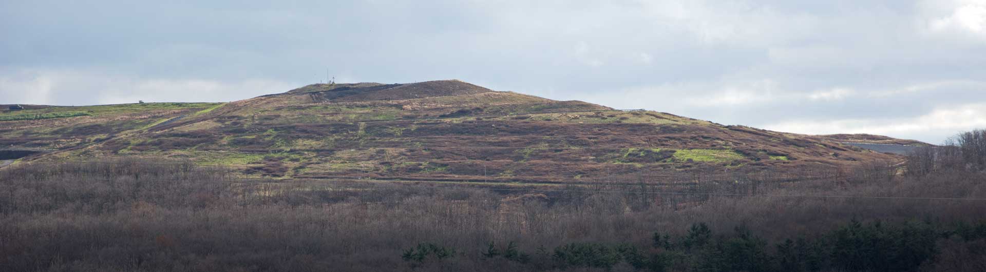 North Slope Landfill Natural Succession