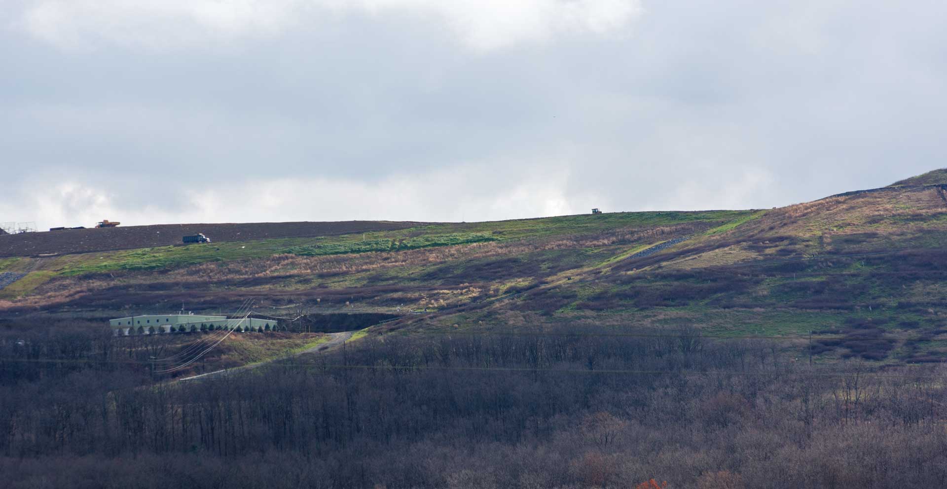 New Trees and Maintenance Building